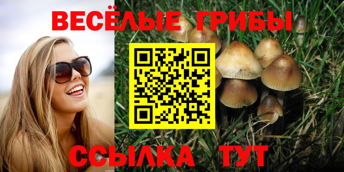 Галлюциногенные грибы Magic Shrooms Гусиноозёрск